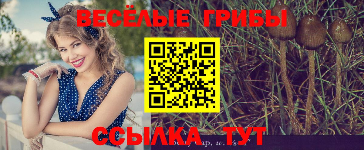 Феодосия  Галлюциногенные грибы ЛСД  Вход с VPN 